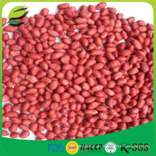 China rote rote Haut Erdnusskerne mit günstigen Preis